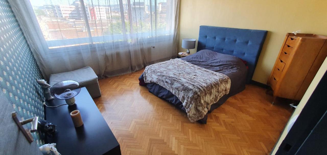 Appartement Lumineux De 90 M2 Situe En Centre Ville Анси Екстериор снимка